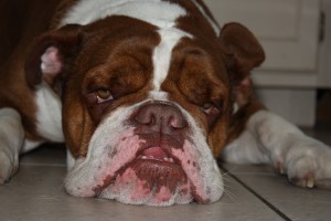 Marles Barkley Marles Barkley