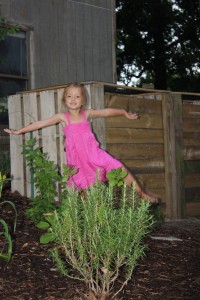 The Princess The Princess