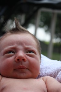 Little Dude's First Mohawk...Not the Last. Little Dude's First Mohawk...Not the Last.